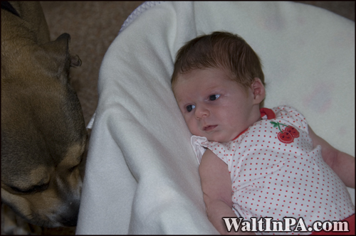 Natalie and Syrus - July 18th 2010 - 2